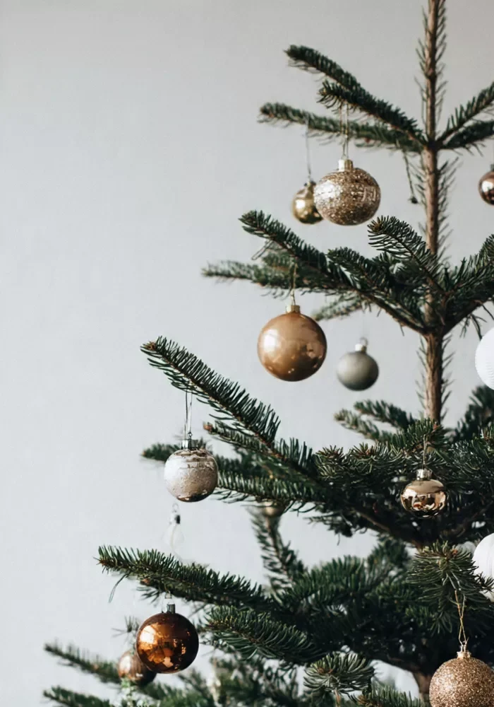 14 Minimalist Christmas Tree Decor Ideas