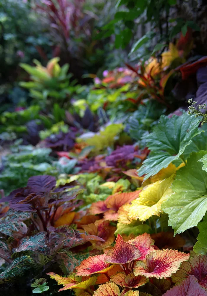 14 Rainbow Front Yard Ideas That Instantly Stand Out