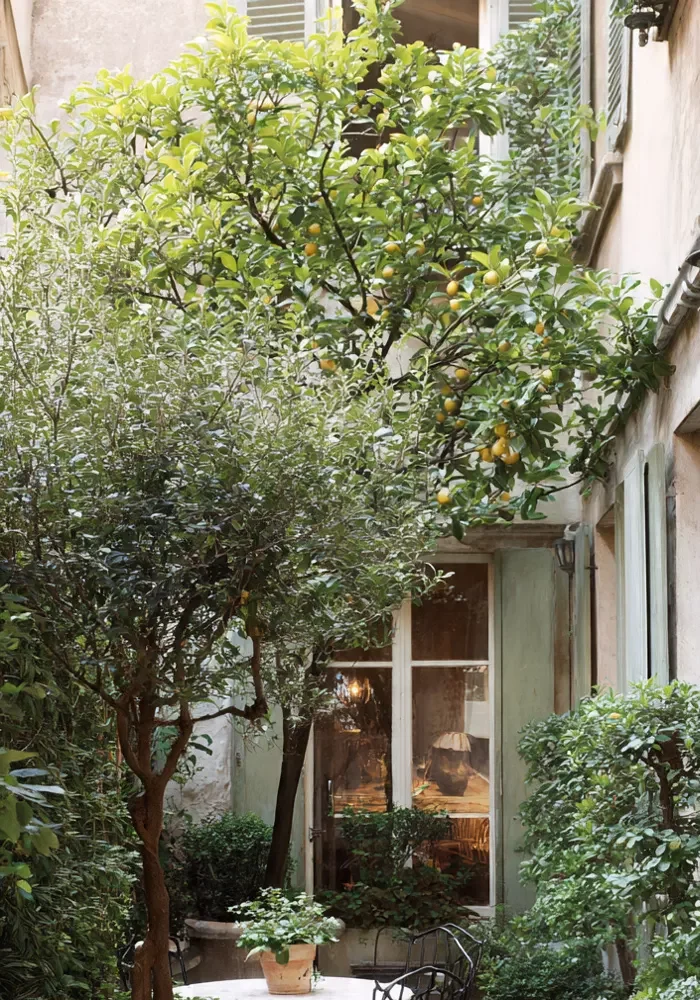 14 Cozy Small Backyard Plant Ideas