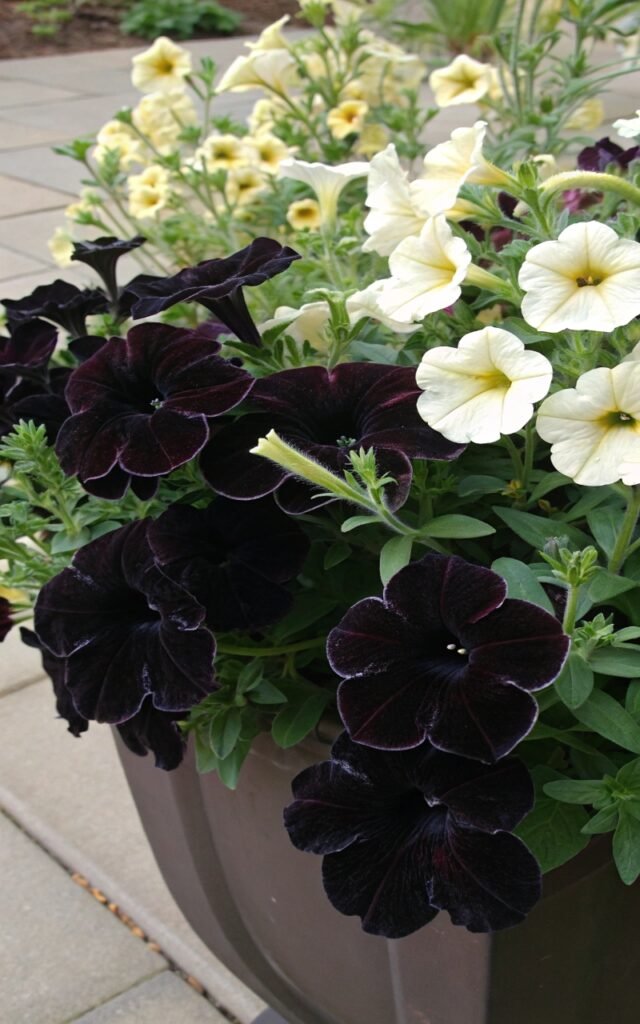 15 Unique Gothic Plants You’ll Want to Own