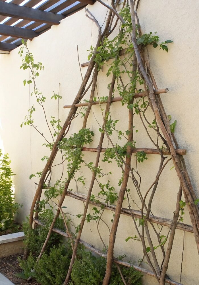 15 Garden Trellis Ideas to Transform Your Outdoor Space